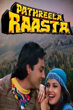 Download Pathreela Raasta (1994) WebRip Hindi 480p 720p