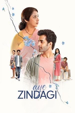 Download Aye Zindagi (2024) WebRip Hindi ESub 480p 720p