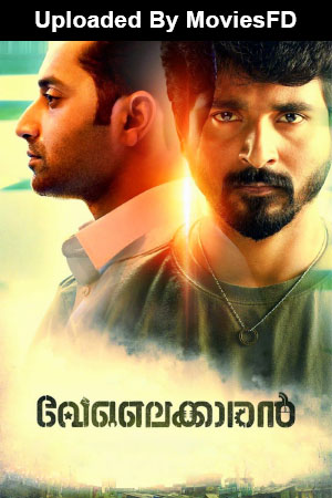 Download Velaikkaran [Coolie No. 1] (2017) WebRip Kannada ESub 480p 720p